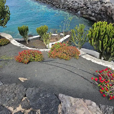 Lanzarote Harbour View *