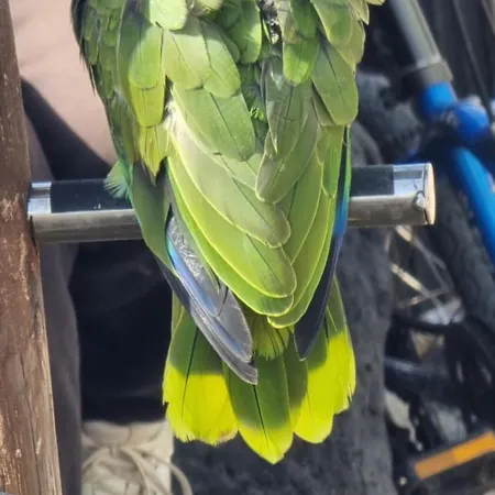 Lanzarote Harbour View * Tías