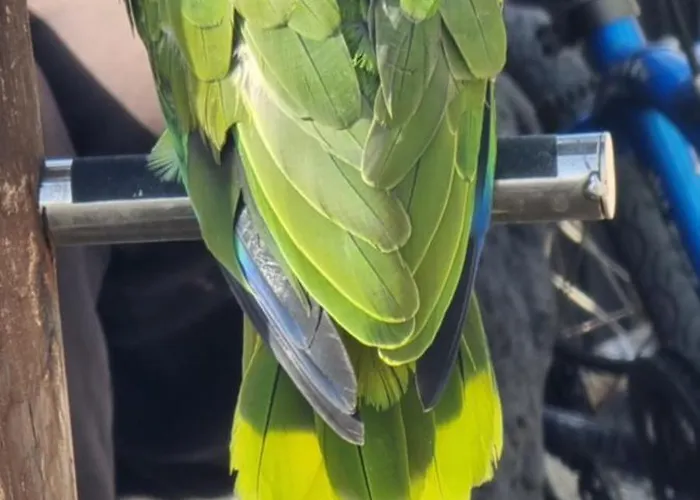 Harbour View Suite Lanzarote * Tías